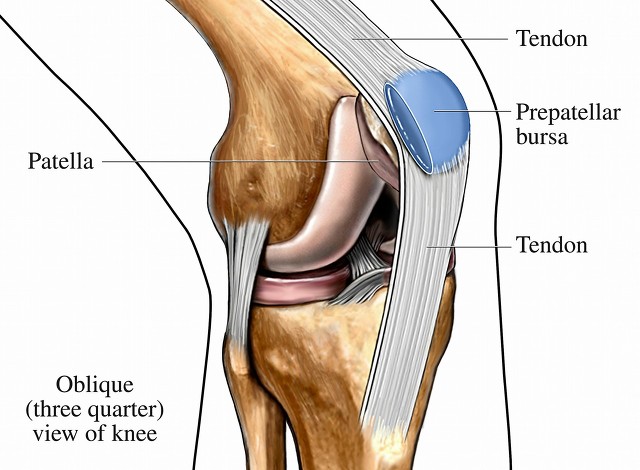 哪些运动伤害膝关节,对膝关节损伤最小的运动