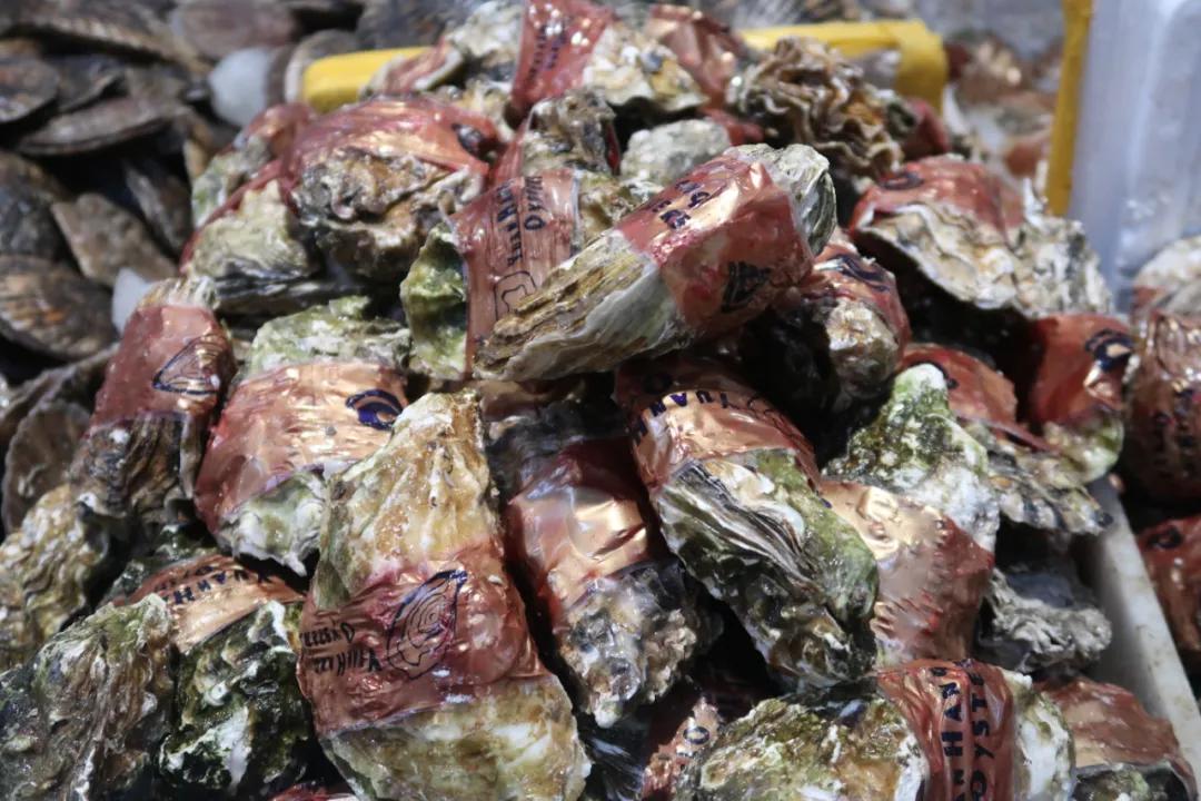 在这个足足2万平的奇妙海鲜“商场”，我找到了赚钱的动力