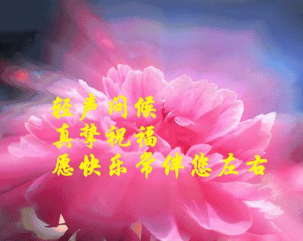 新年微信祝福贺卡,以微信为主题的新年贺卡