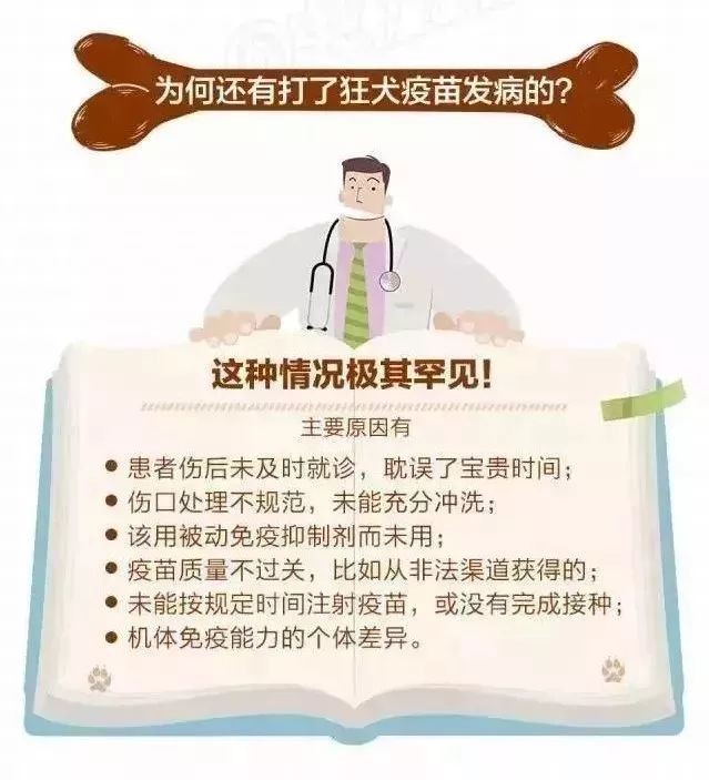 暑假安全隐患多！孩子被狗咬怎么办？除了去医院这3步家长要知道