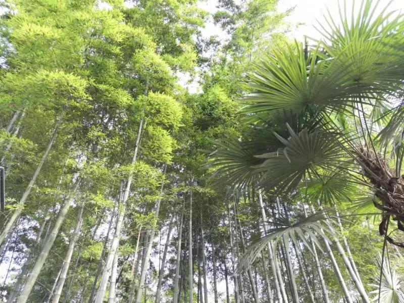 手拍世界近期作品,手拍世界微信公众号