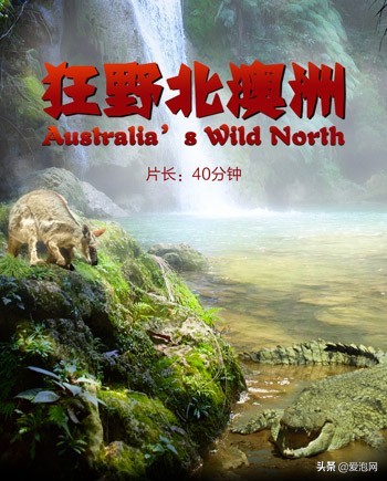 上海天文馆和科技馆哪个更值得去,上海自然博物馆和科技馆哪个好玩