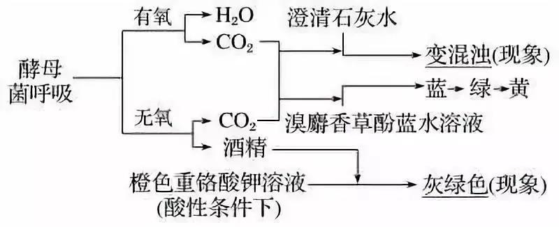 河南高中会考生物必背知识点,生物显微镜实验视频高中