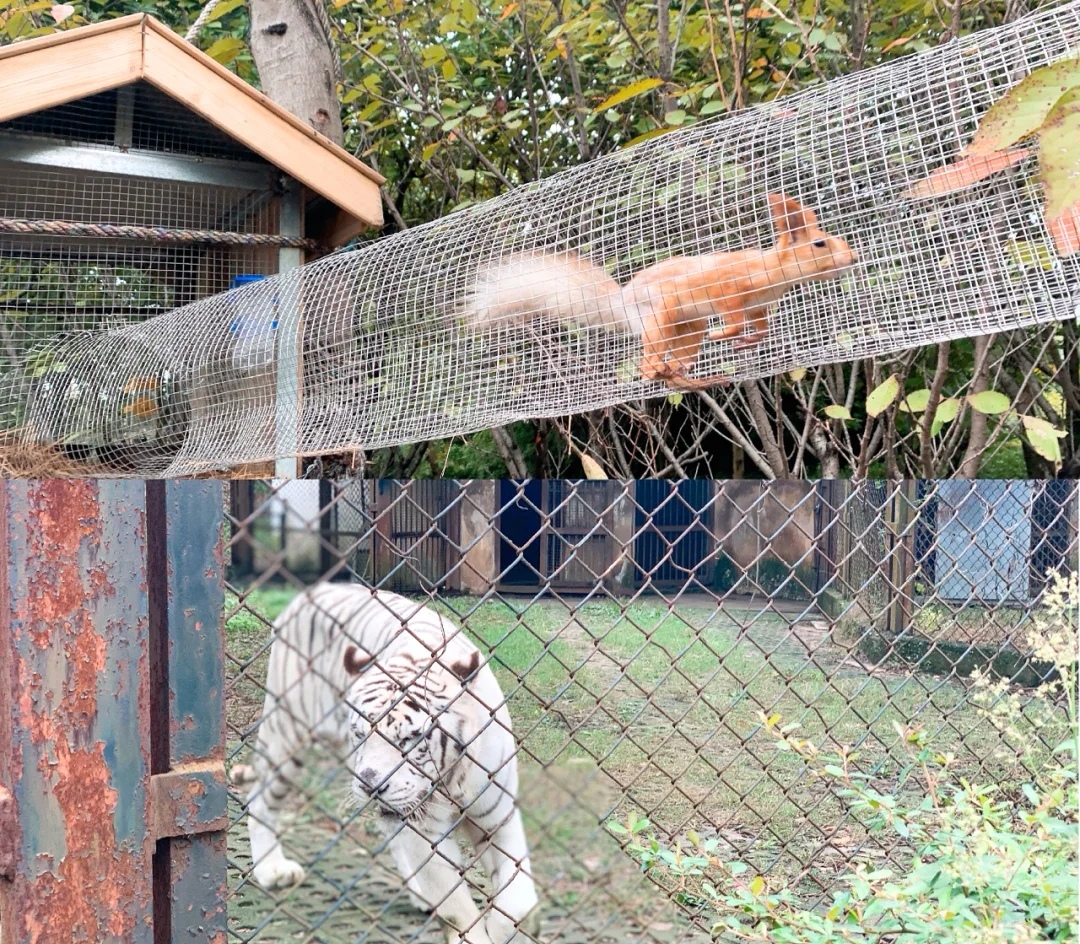 合肥周边亲子网红度假山庄,合肥适合亲子旅游的地方