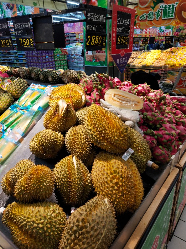 自粘鱼缸的使用寿命,自粘鱼缸有什么注意事项