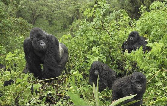 世界最好的公园门票价格,世界最牛公园门票