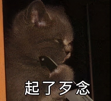 发量增多的实用小技巧,发量少怎么拯救