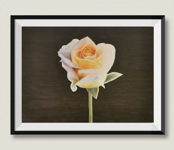 黄玫瑰的花语是纪念逝去的爱情,黄玫瑰的花语是遗憾