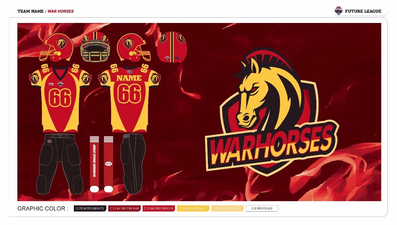 nfl球队出场仪式超燃,nfl橄榄球出场隐形战机助威