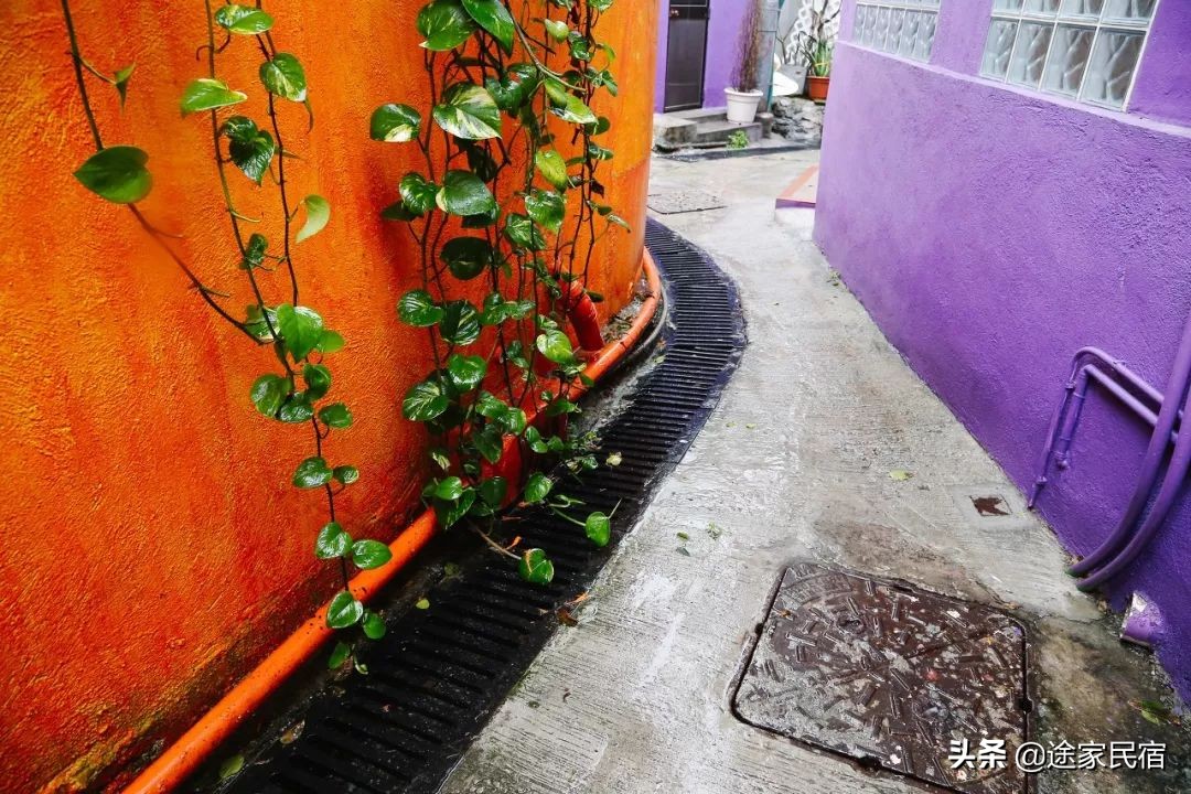 香港小众景点值得去吗,去香港必去的几个地方