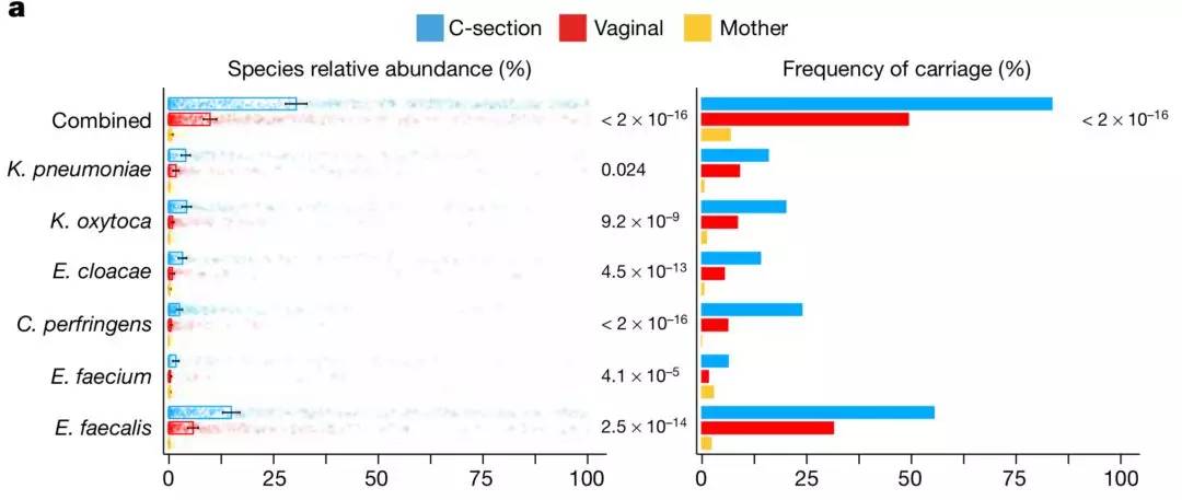 剖腹产后细菌感染常见是什么菌,剖腹产真的会改变命运吗