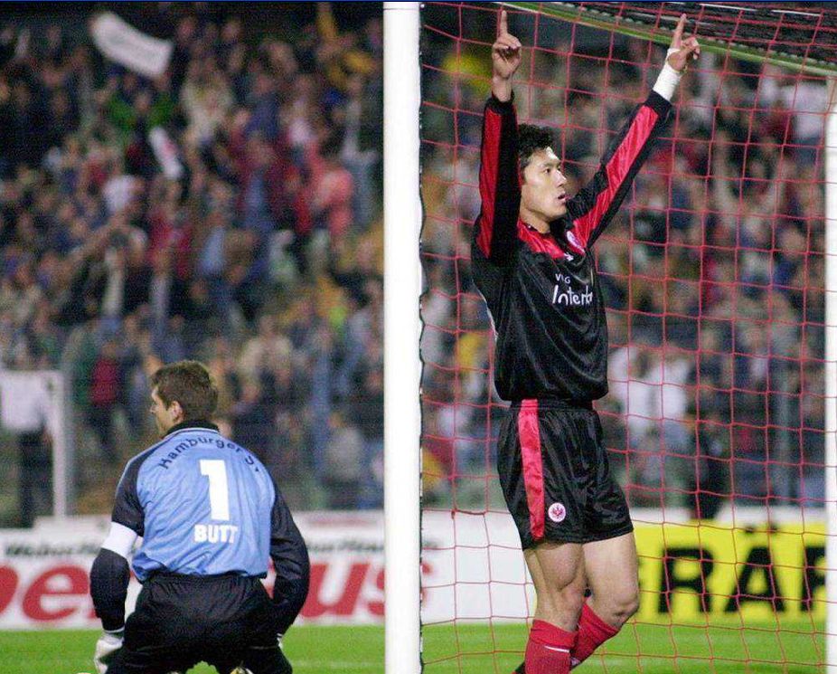 杨晨重返法兰克福受到欢迎事件,杨晨留洋法兰克福