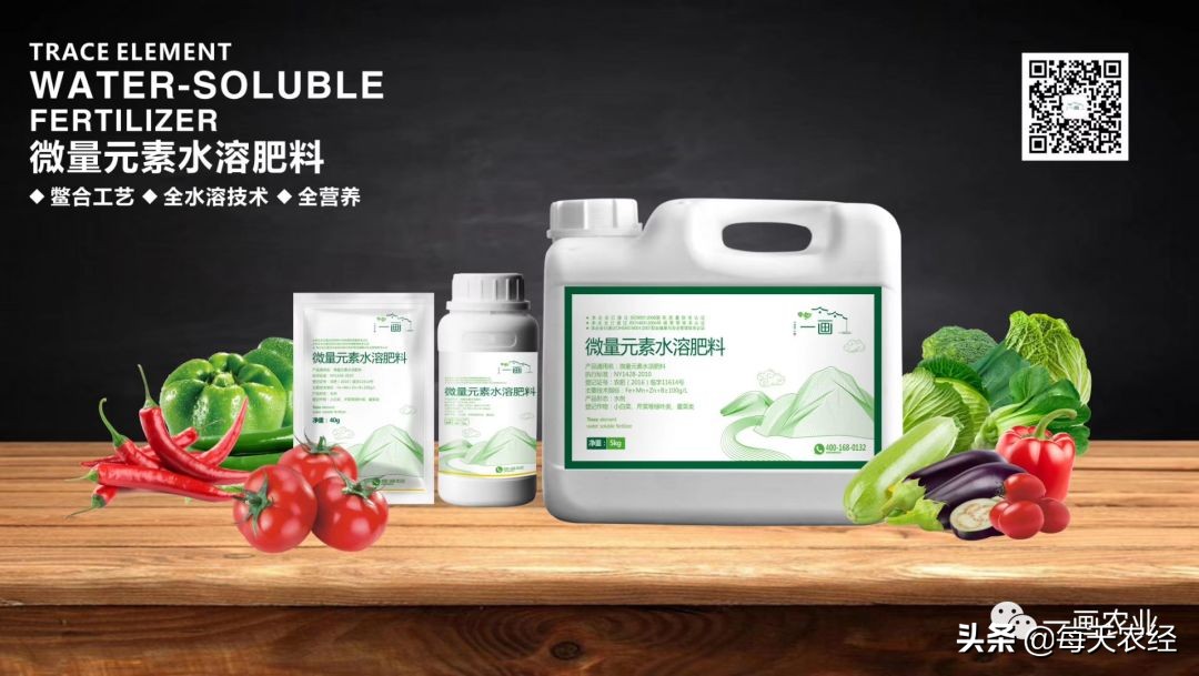 践行绿水青山就是金山银山,践行绿水青山就是金山银山的案例