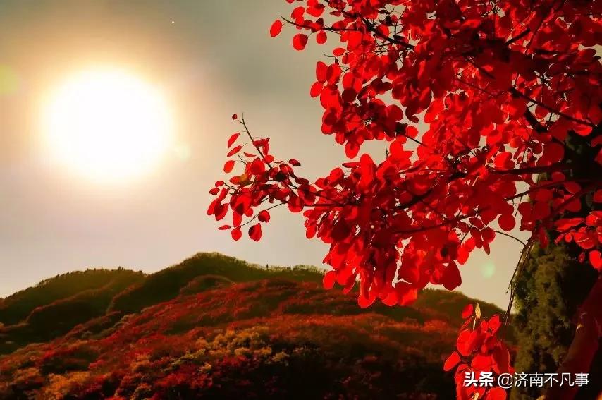 济南可以开车游玩的地方,去济南游玩攻略