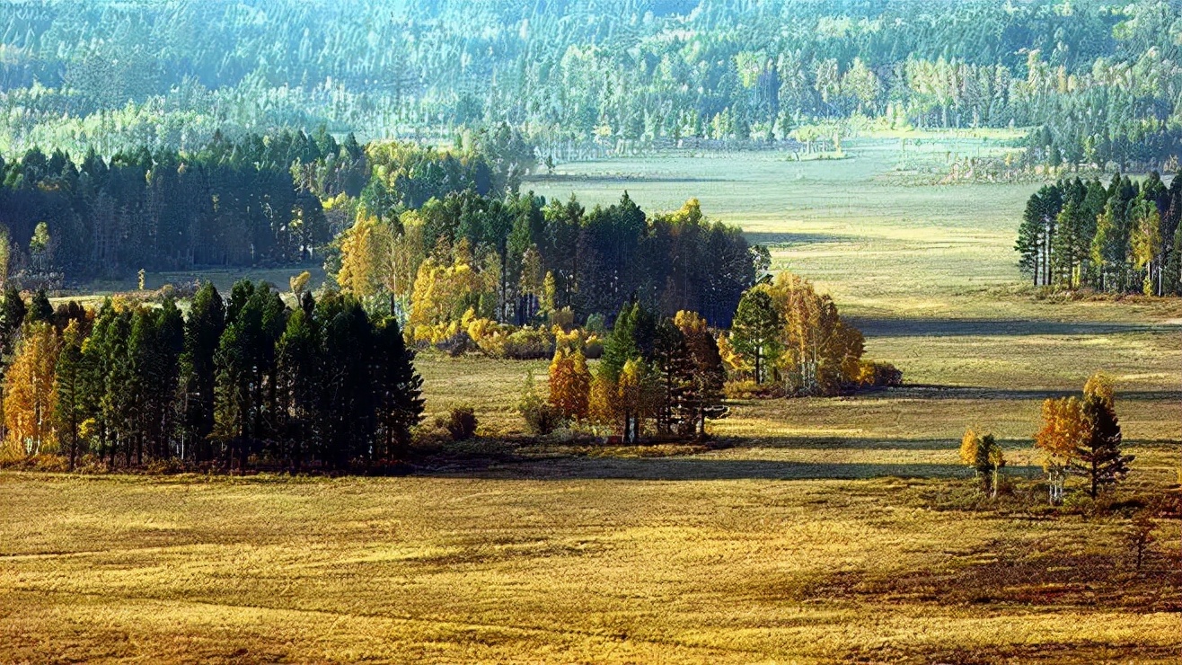 鬼吹灯作者亲身经历,鬼吹灯作者为什么收入那么少
