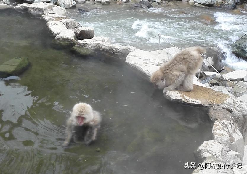 豆瓣9.1分看哭百万人,豆瓣评分9.0却很少有人看懂