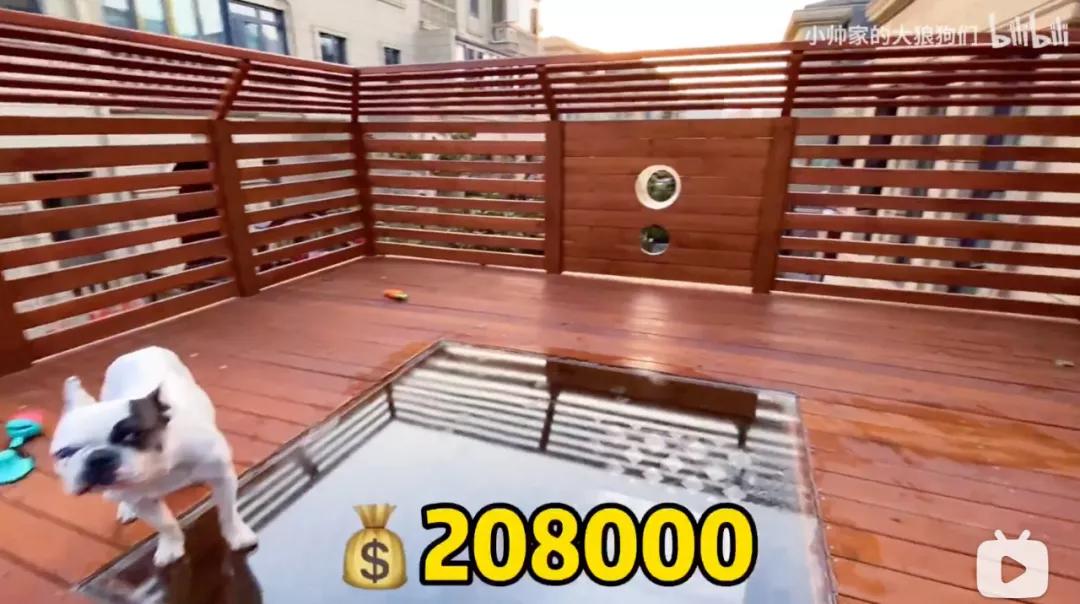 花三年建宠物乐园,花20万给狗打造乐园