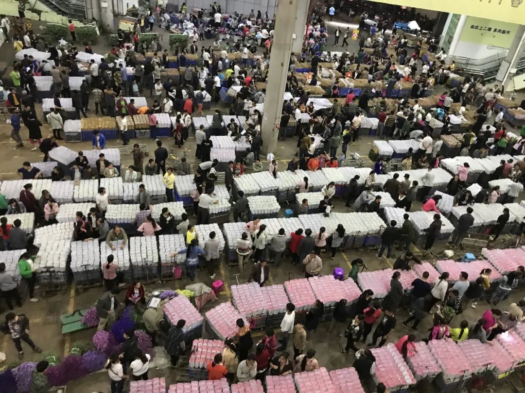 花店鲜花价格表大全,花店鲜花种类及价格表