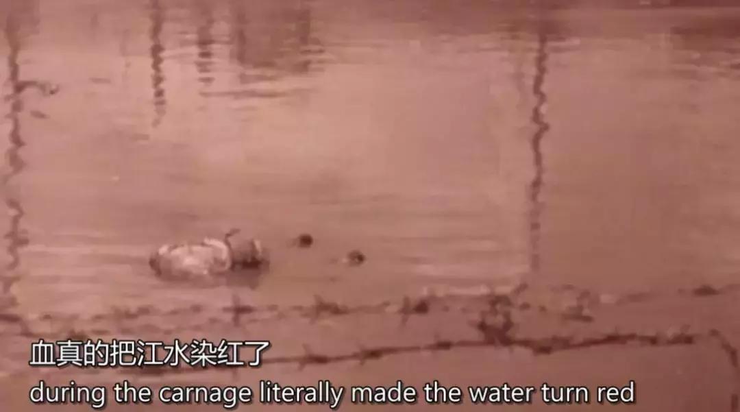 勿忘历史吾辈自强历史不该被遗忘,勿忘历史勿忘忠烈