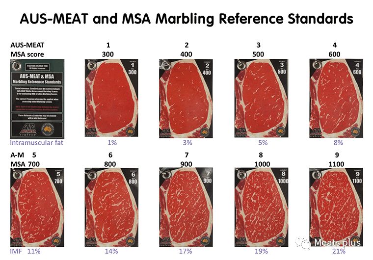 MeatsPlus超全牛排知识及攻略指南,上篇