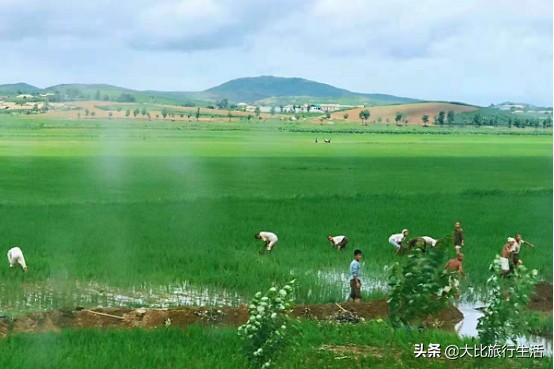 朝鲜男性特点,朝鲜男性好幸福吗