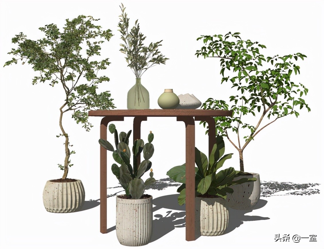 网红庭院植物搭配,网红绿植搭配技巧