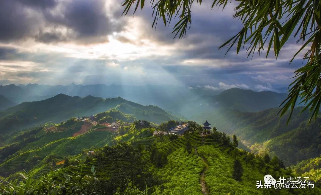 凌云未来发展潜力,凌云投资100亿
