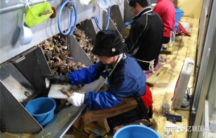 日本出国劳务打工的真实经历,去日本旅游能在日本打工吗