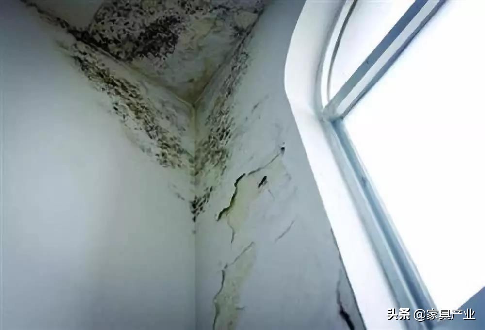 南方人家里一年四季都在发霉？这份除霉秘籍快收好