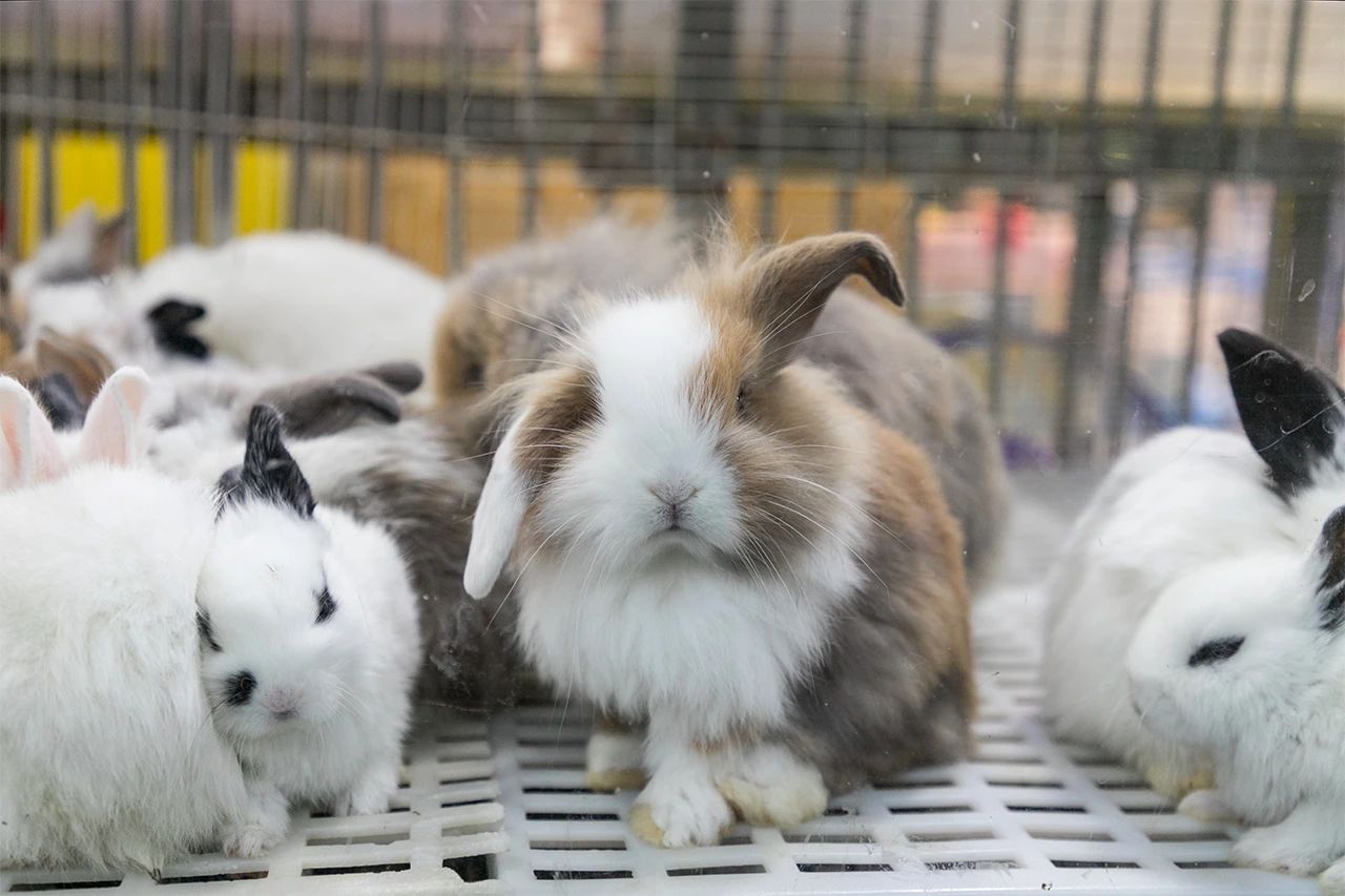 深圳10大旅游好去处,深圳盐田区周末休闲浪漫好去处