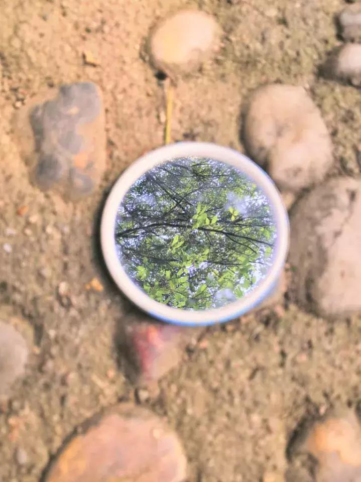 镜中的武工院，是最美？妙不可言？