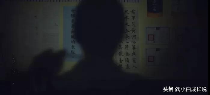 为什么虐猫会被批判,为什么现在虐猫都能上热搜