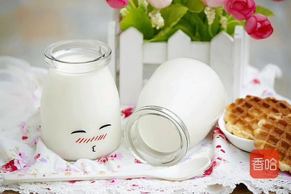 教你自制酸奶，最简单的方式，浓稠又好喝，家人抢着喝