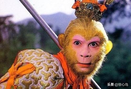 孙悟空知道弼马温的真实情况,弼马温是对孙悟空的侮辱吗