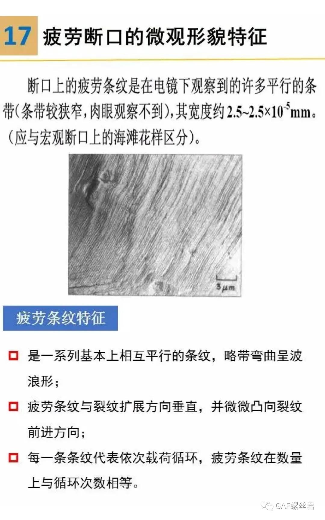 裂纹分析步骤,裂纹与断口分析