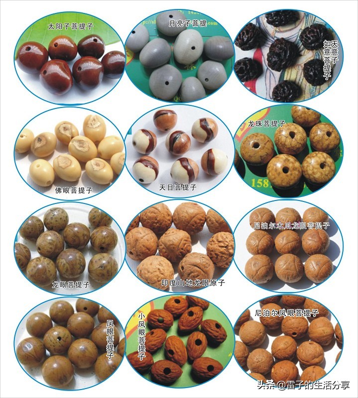 大尺寸星月菩提108颗蜜蜡配饰,文玩菩提子鉴赏
