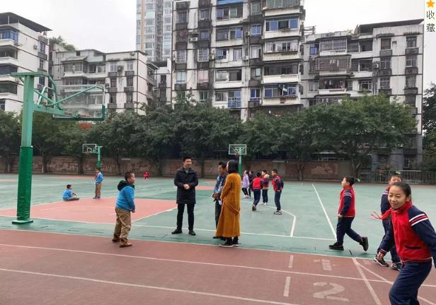 重庆南岸区公立小学学校,重庆南岸区小学排名一览表