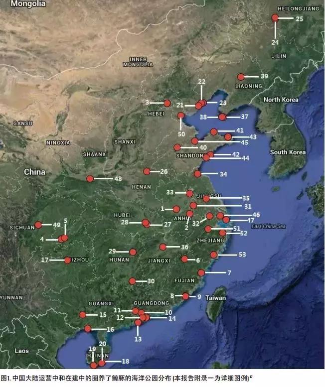 难得一见海洋动物表演,看不完的海洋动物和表演