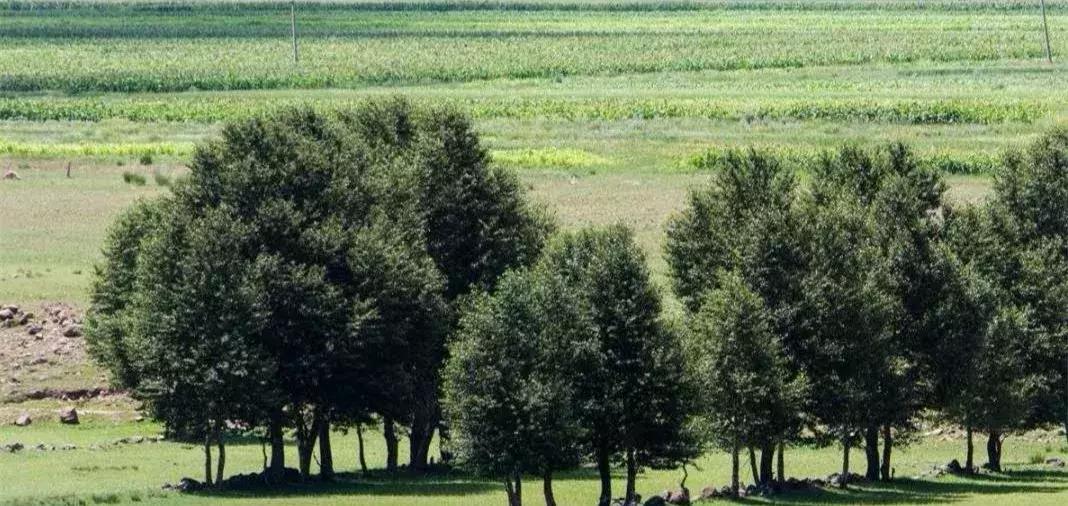 中央电视台为何给山西这位普通民警寄来感谢信……