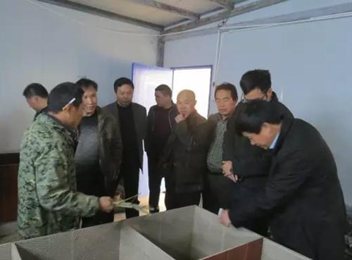 农村创业点子大全视频,农村青年人创业做什么最适合