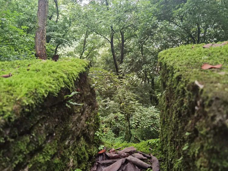 黔南第一山在什么地方,黔南第一山在哪里