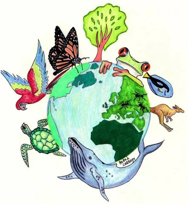 你知道蜜蜂有多少眼睛吗,蜜蜂为什么有那么多眼睛