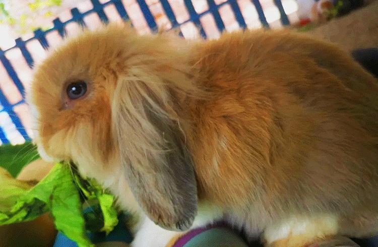 北京房山青龙湖湿地公园景色图片,青龙湖公园最美景色