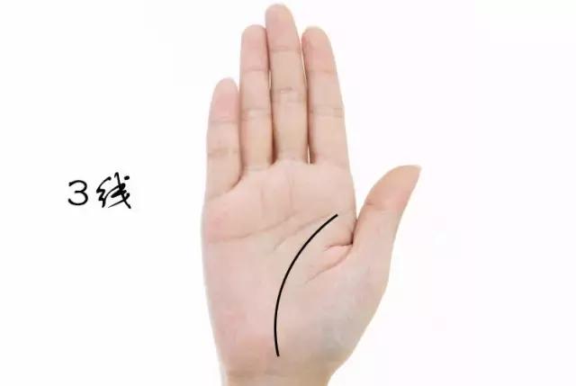 看看你的掌纹,看看你的手相