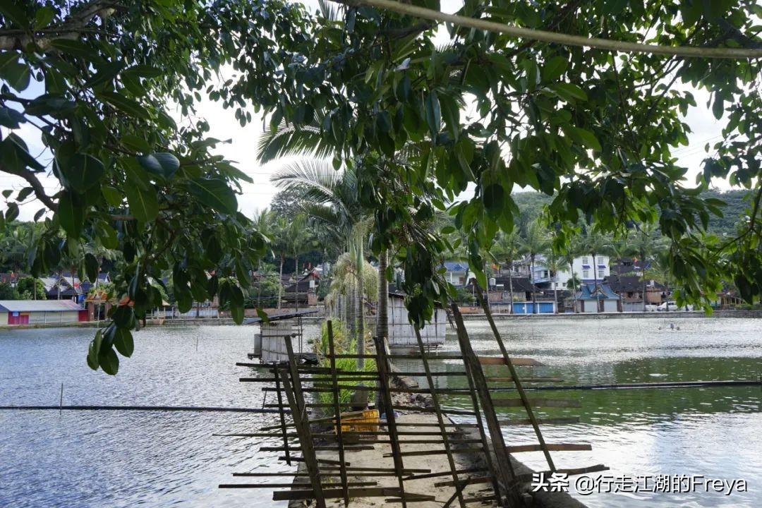 西双版纳傣族村寨赶集,西双版纳星期五赶集