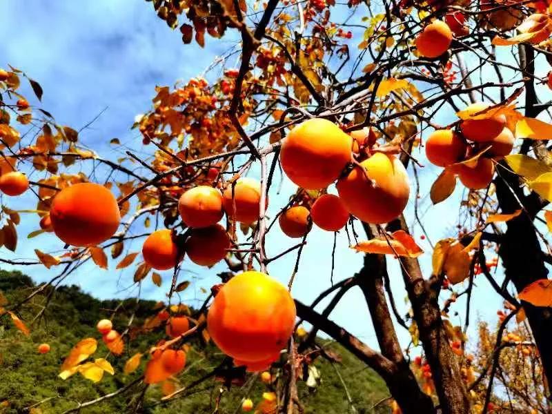 高二理科生数学和物理太差怎么办,高二物理化学怎么逆袭