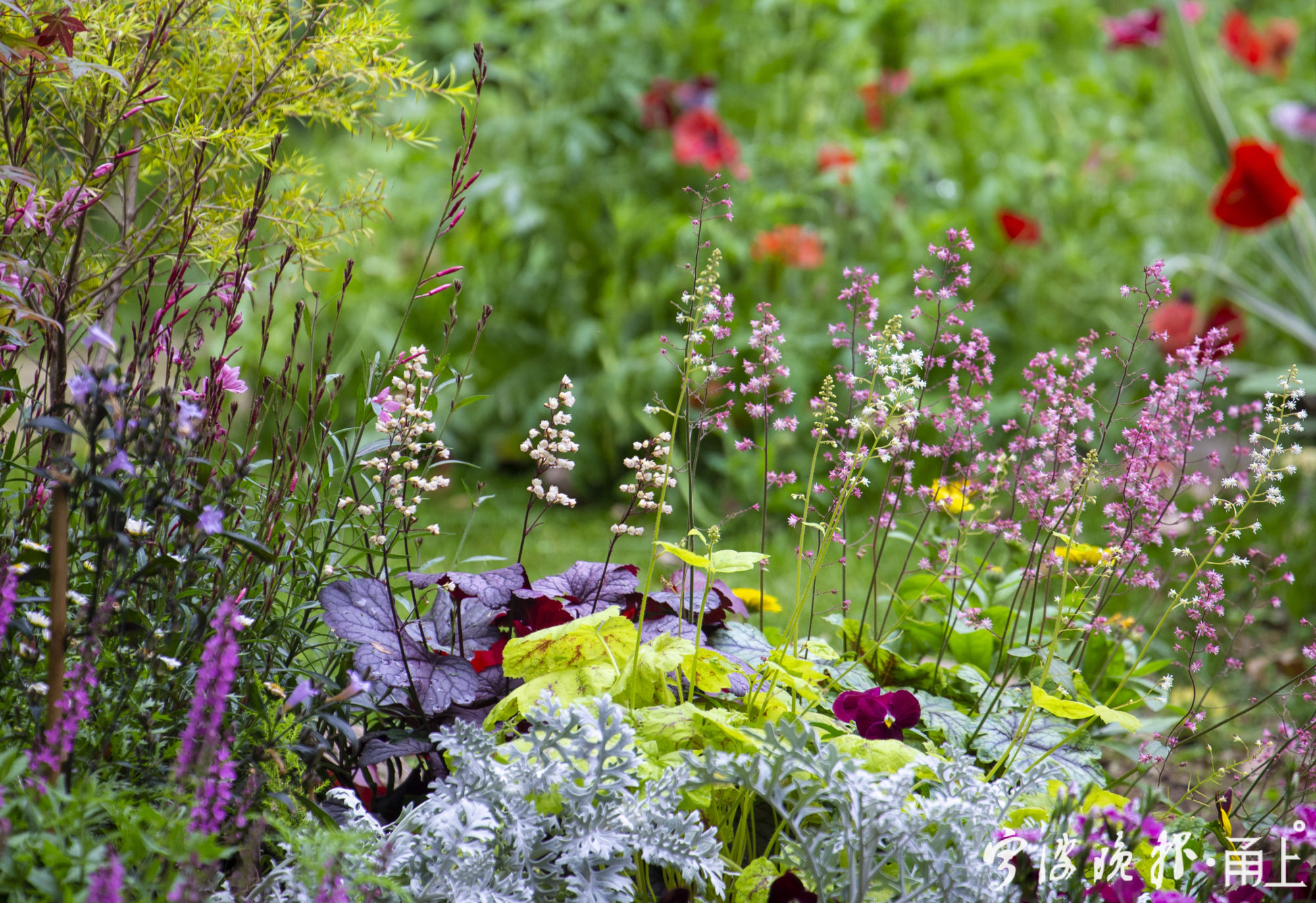 开门见山水的院子,邻里花园宁波