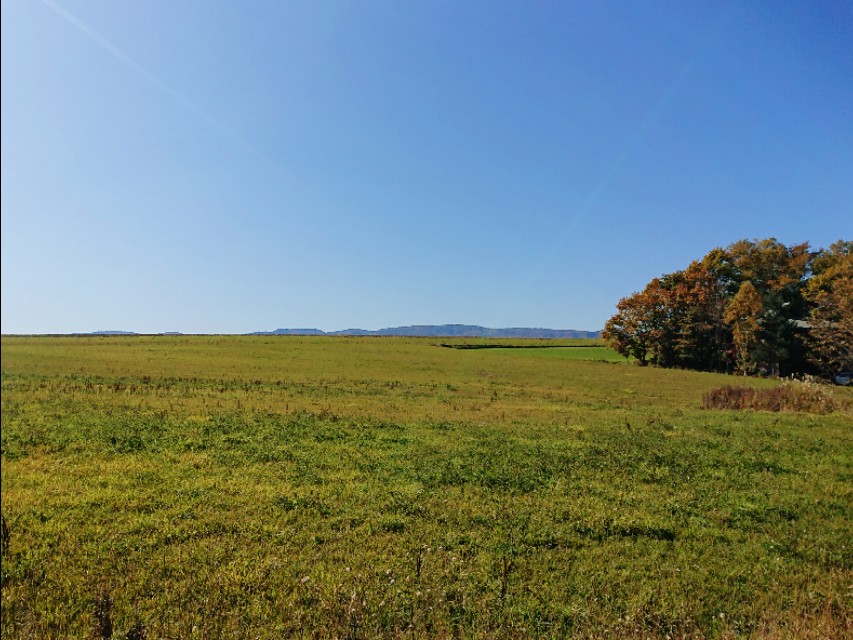 北海道登别到美瑛町需多久,日本北海道美瑛川的雪景