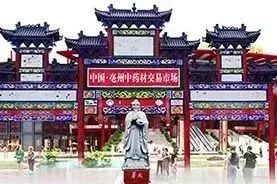 「市场快讯」白前、半枝莲、桔梗、天竺字、穿破石、独活