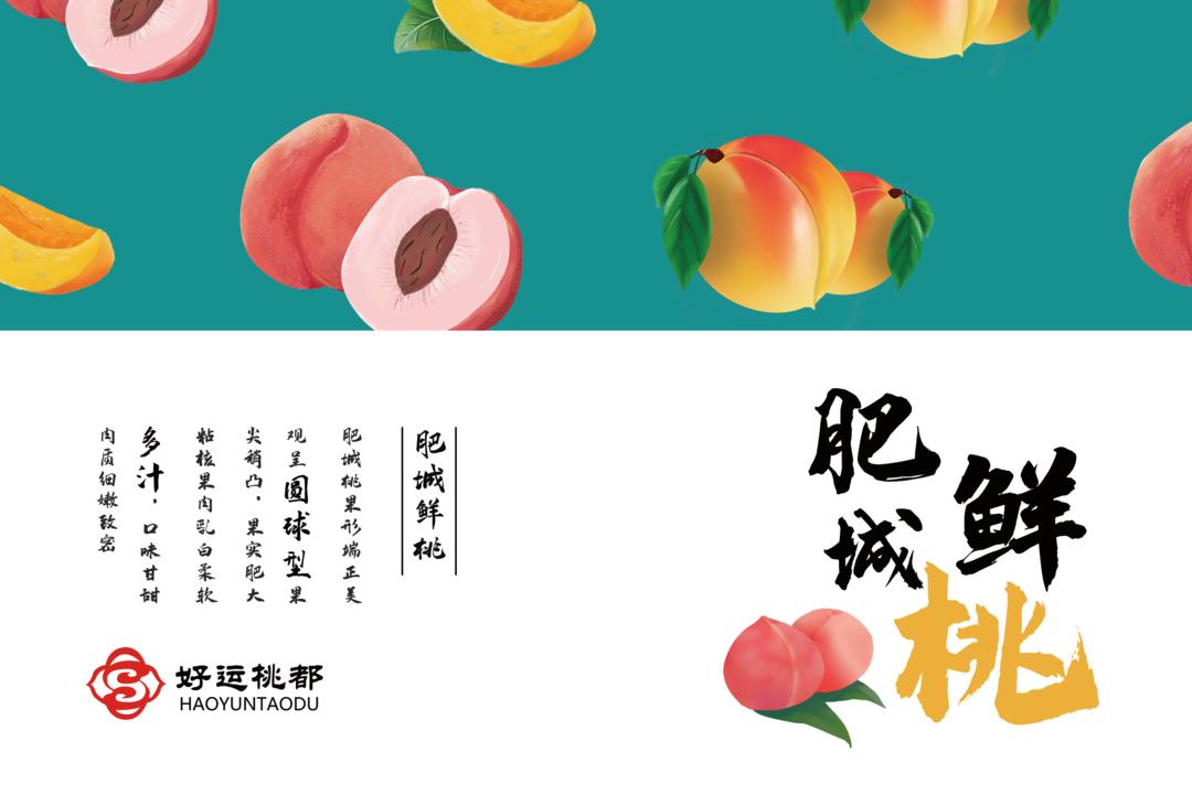 2019农产品包装设计大赛,沈阳创新设计大赛